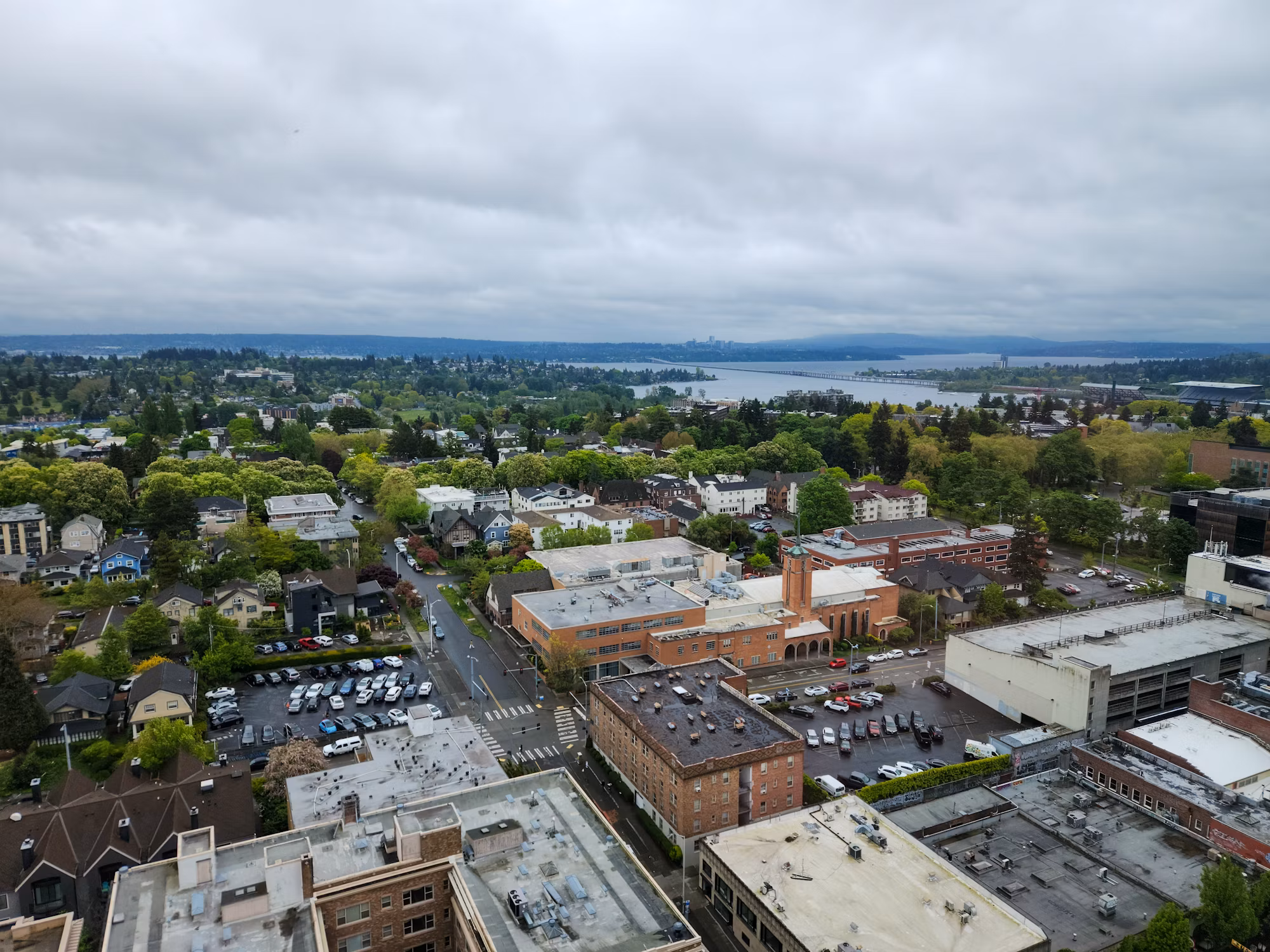 Diverse Paths to Success: Understanding the Role of Different University Models